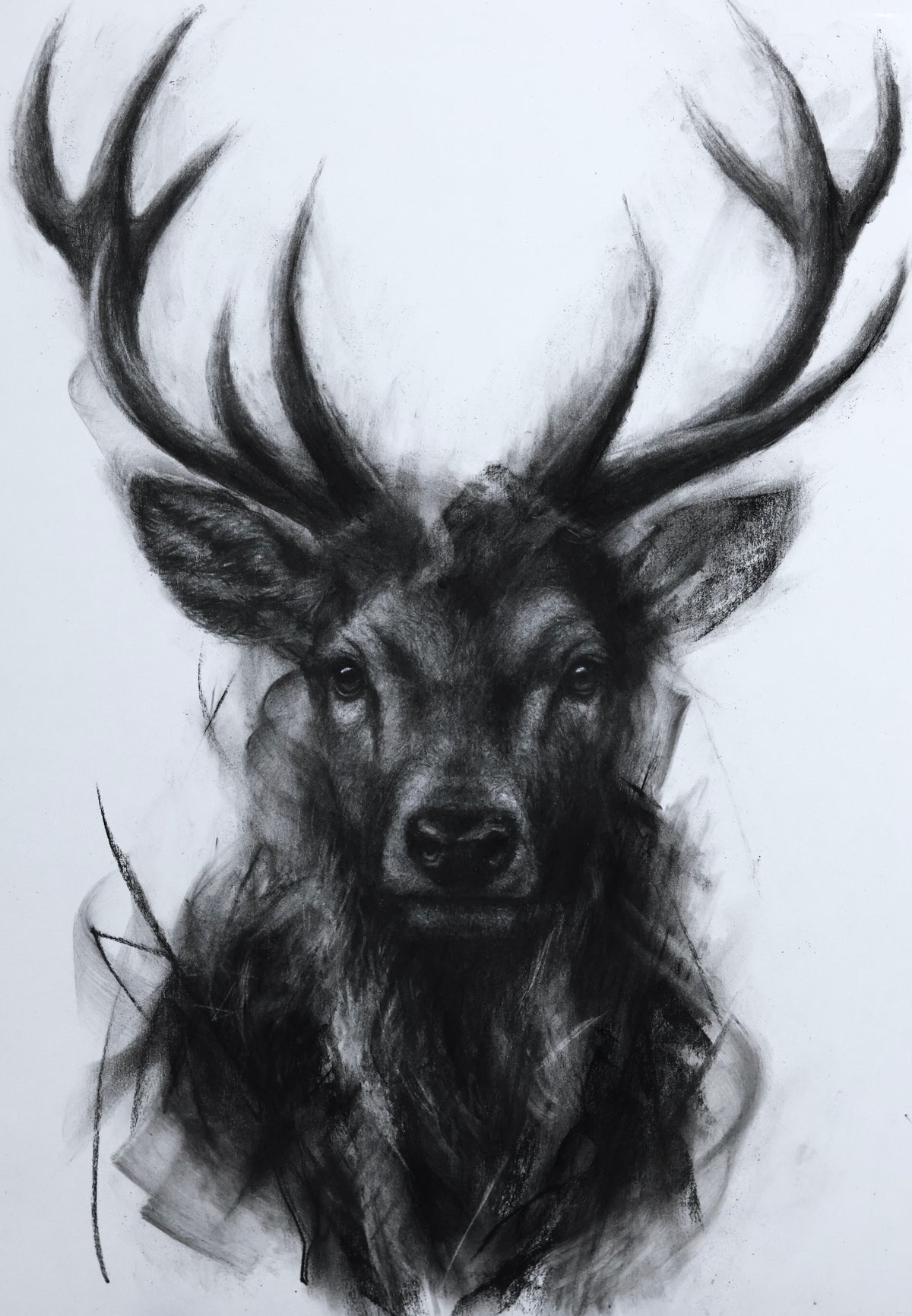 Crowned Silence