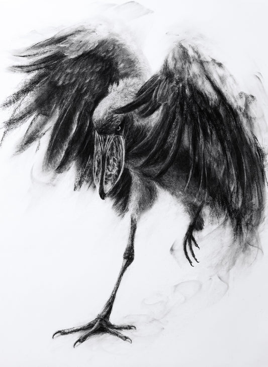 Emerging