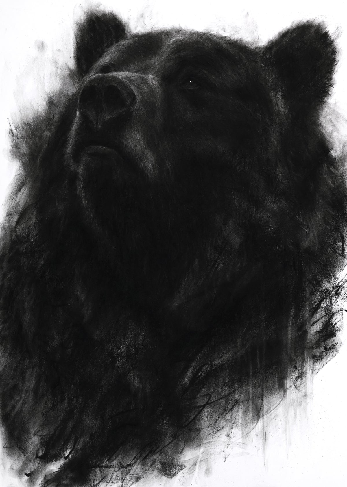 An Old Knowing