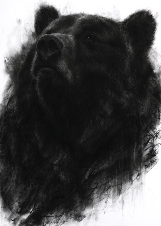 An Old Knowing