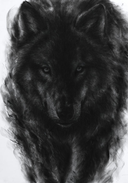 Still Untamed