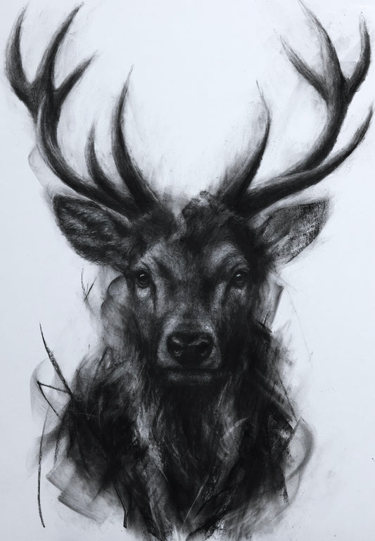 Crowned Silence
