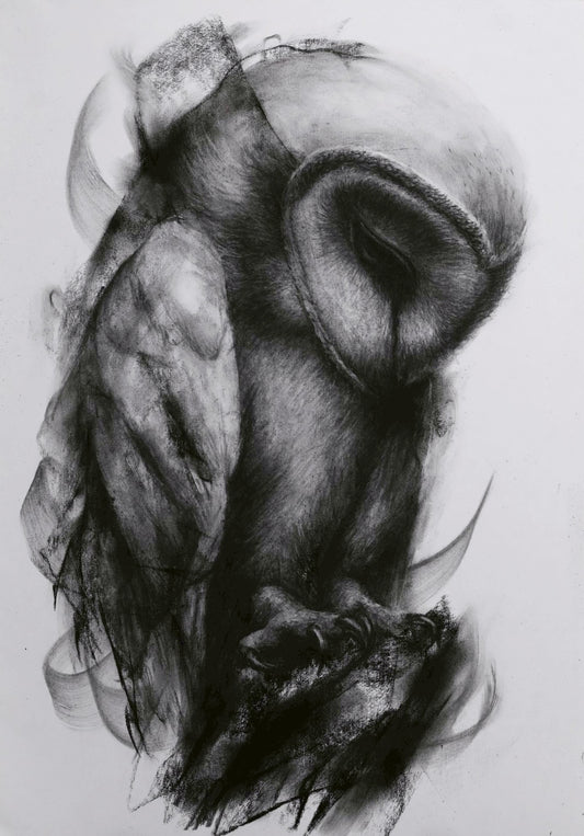 Night Vessel
