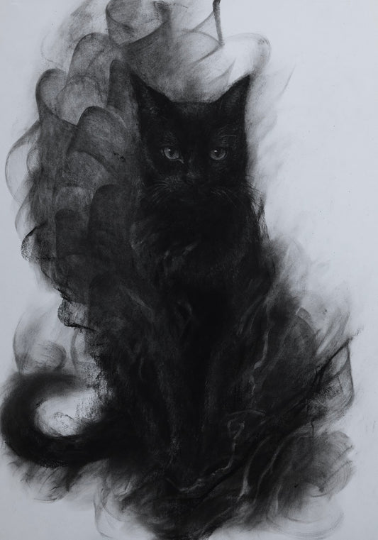 Eyes Within the Shadow