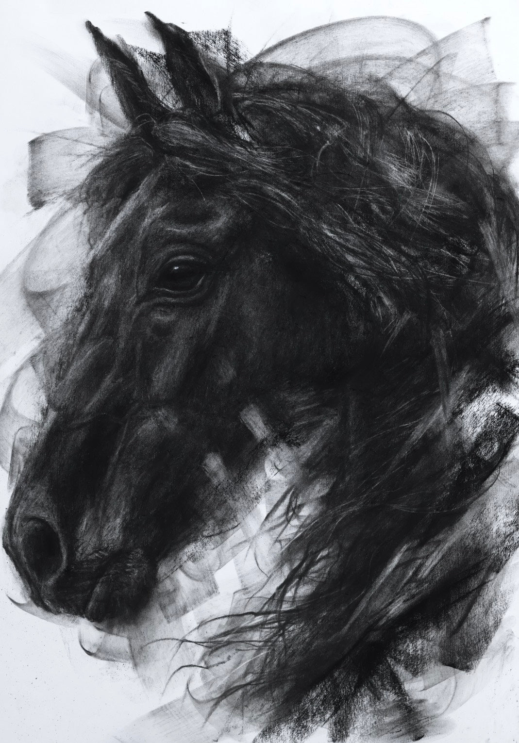 The Breath Before the Gallop